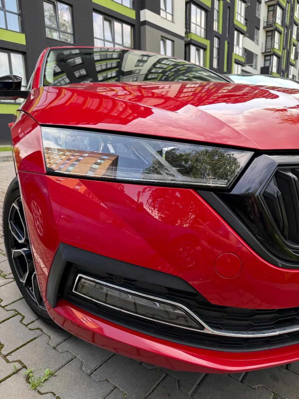 Skoda Octavia - фото 4