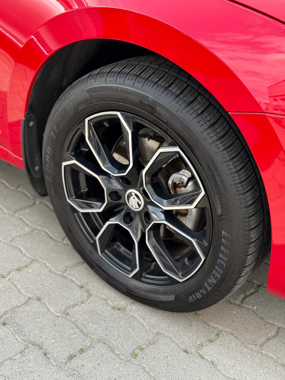 Skoda Octavia - фото 12