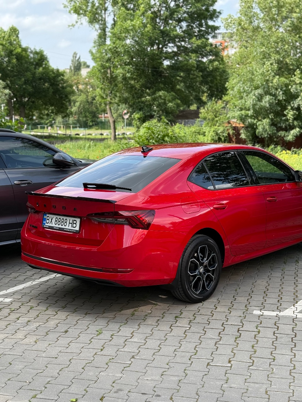 Skoda Octavia - фото 3