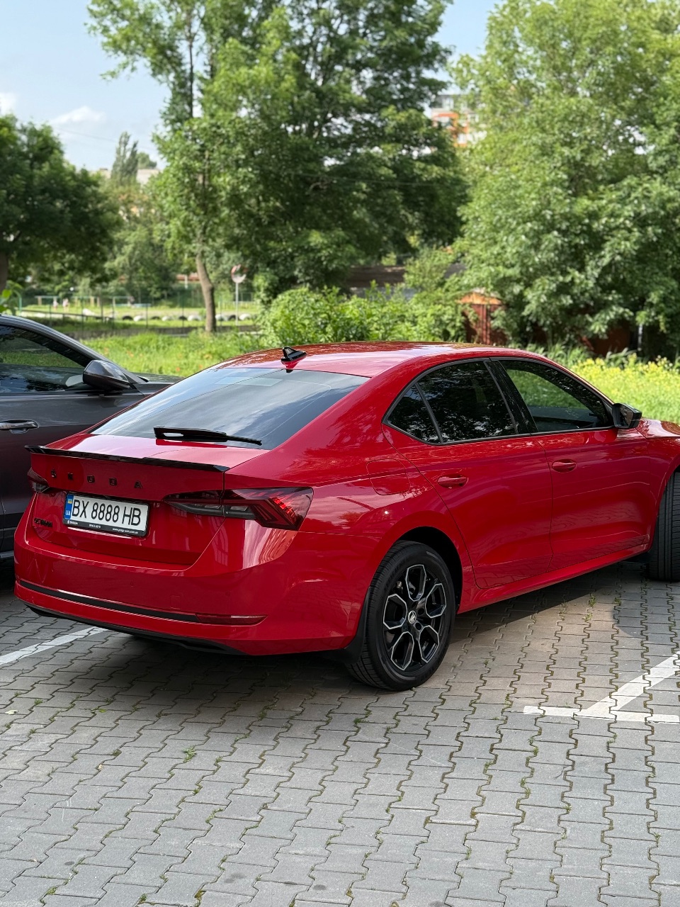 Skoda Octavia - фото 8