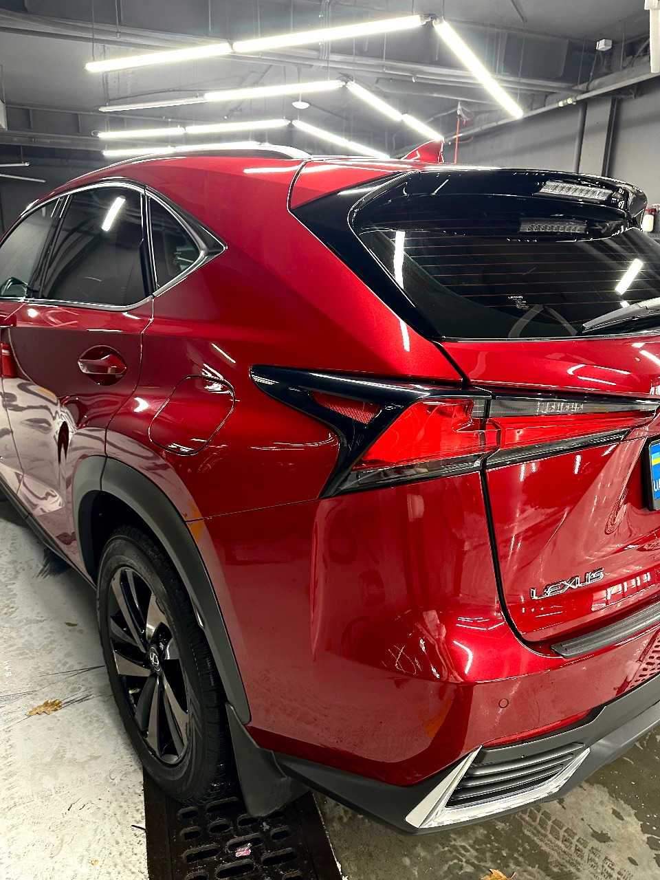 Lexus NX - фото 5