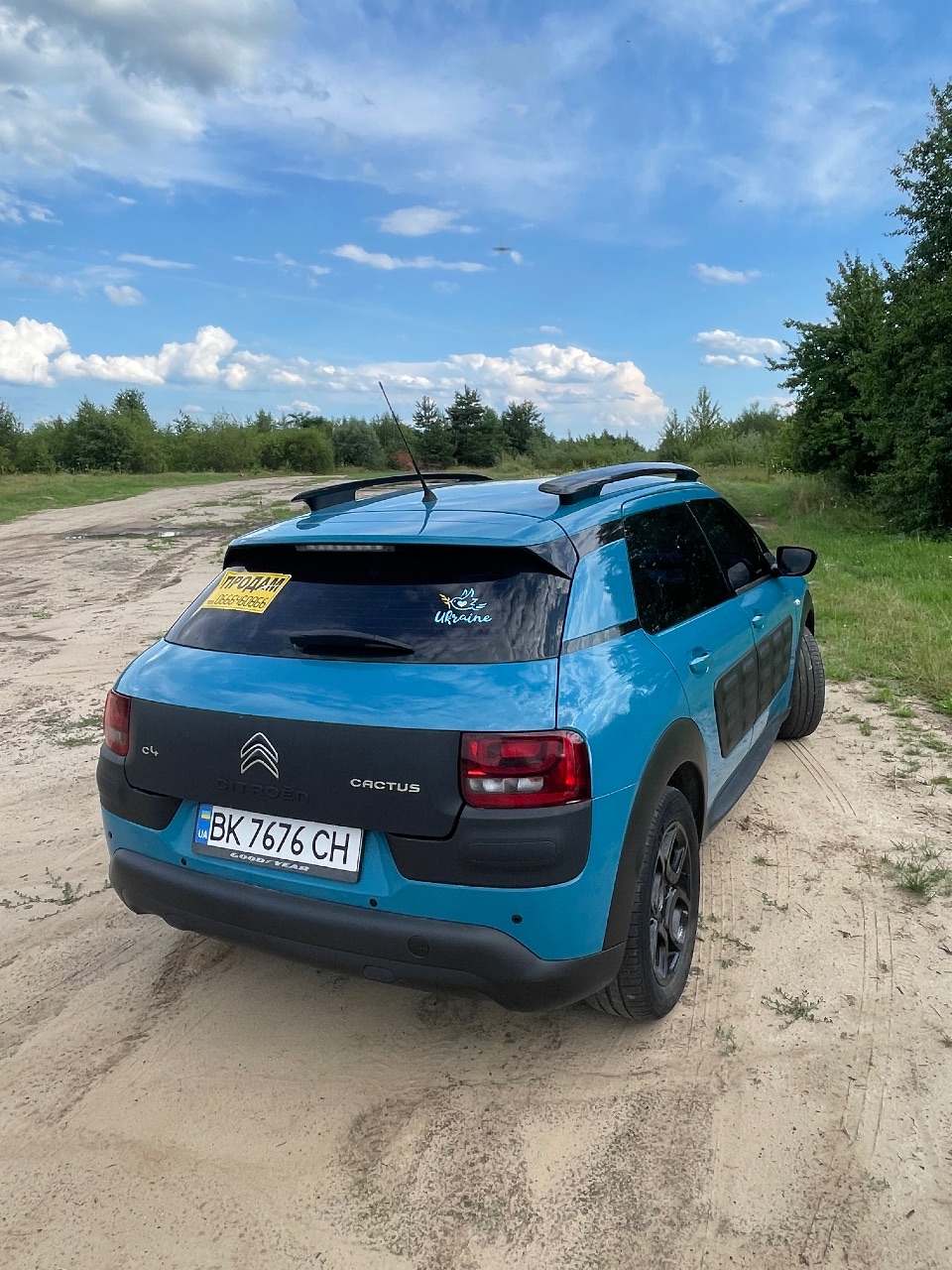Citroen C4 Cactus - фото 4