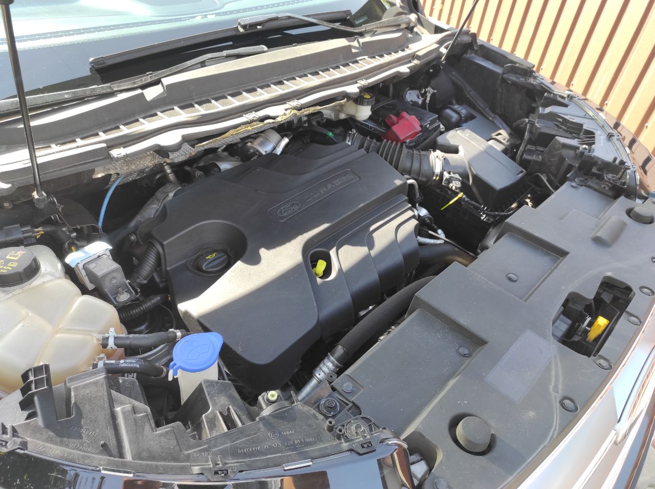 Ford Edge - фото 10