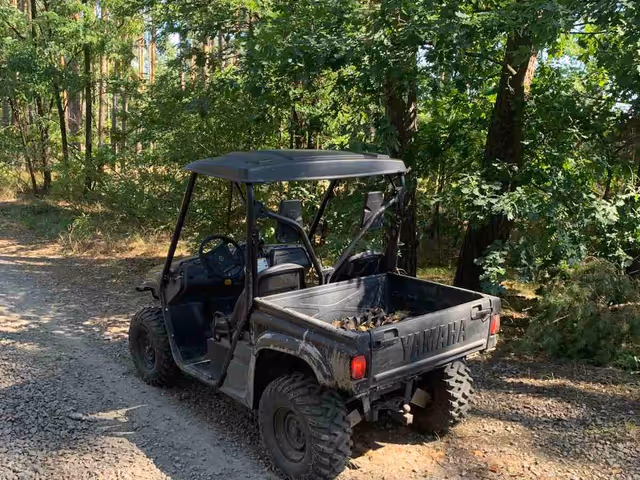 Yamaha Rhino - зображення 2