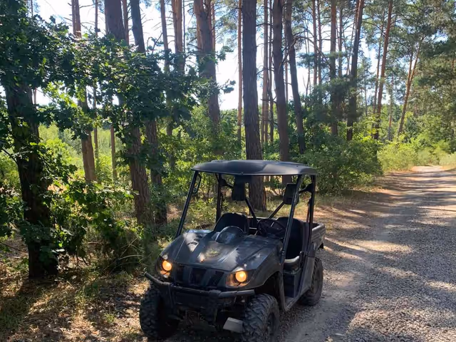 Yamaha Rhino - зображення 1