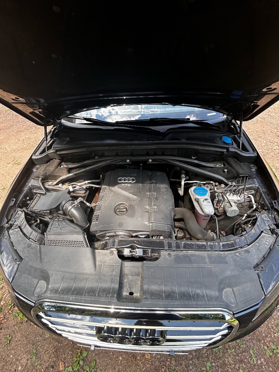 Audi Q5 - фото 19