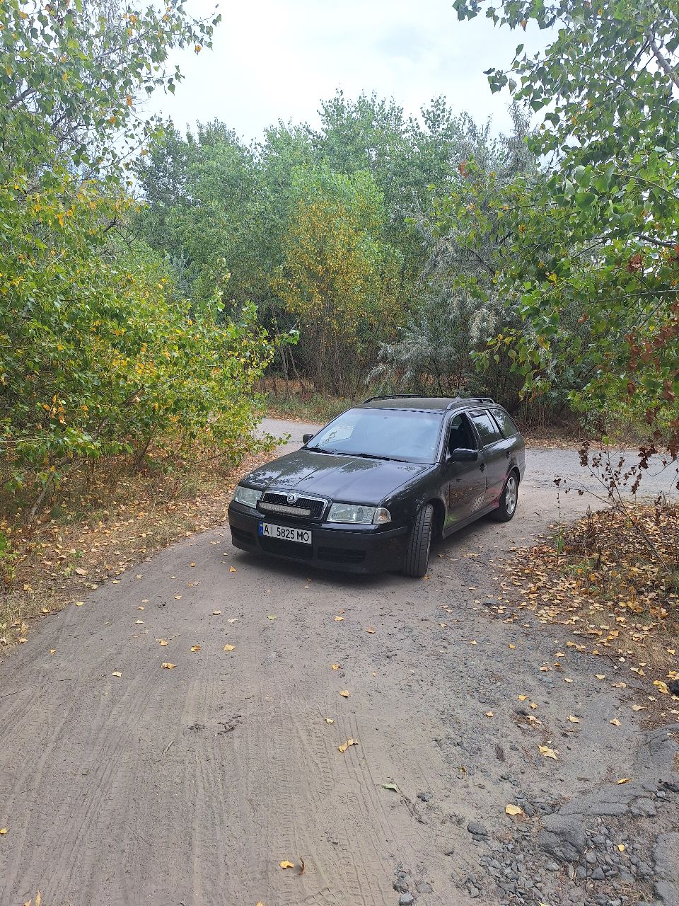 Skoda Octavia - фото 7