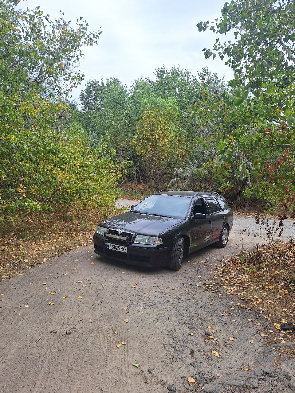 Skoda Octavia - фото 6