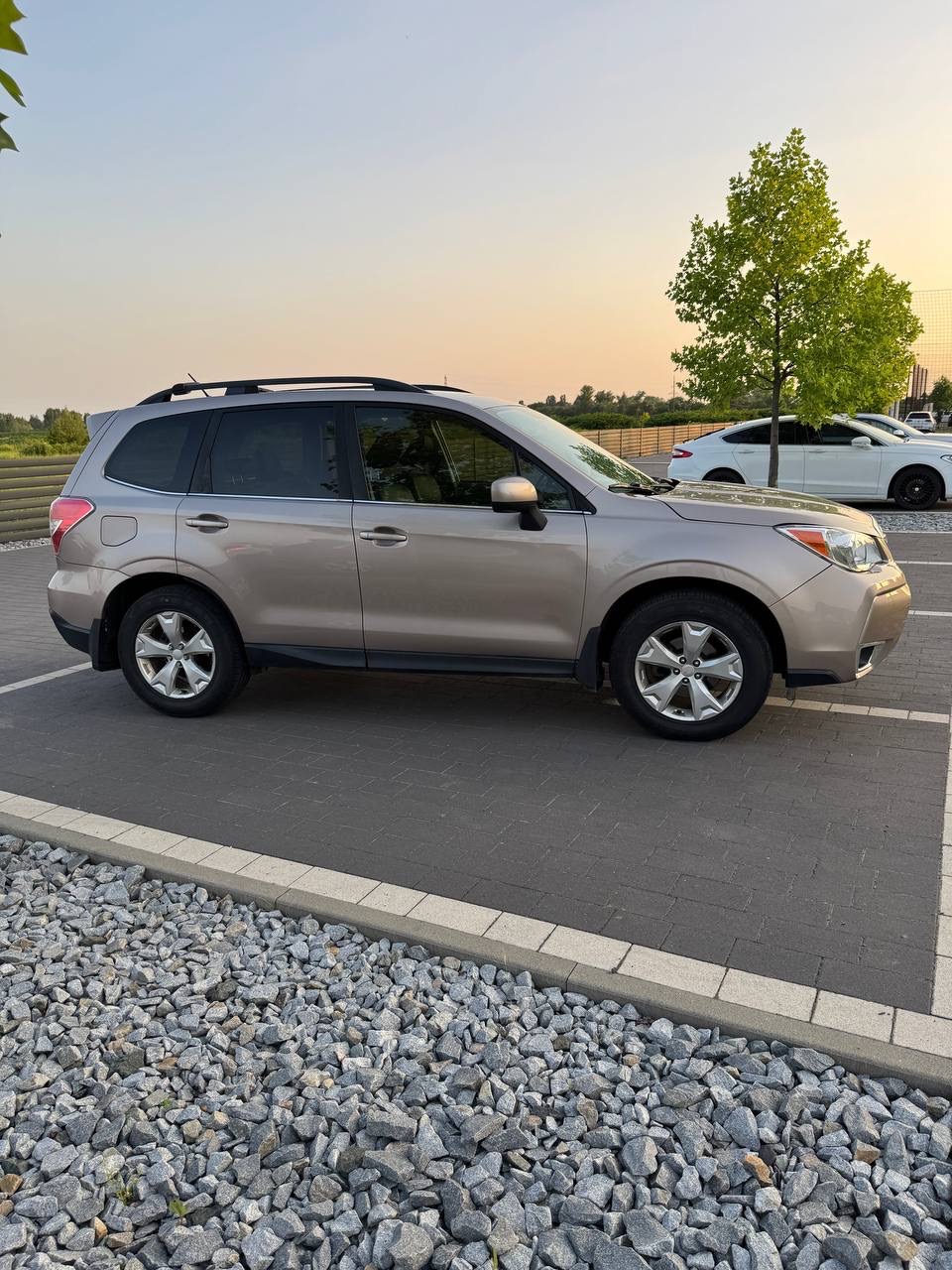 Subaru Forester - фото 4