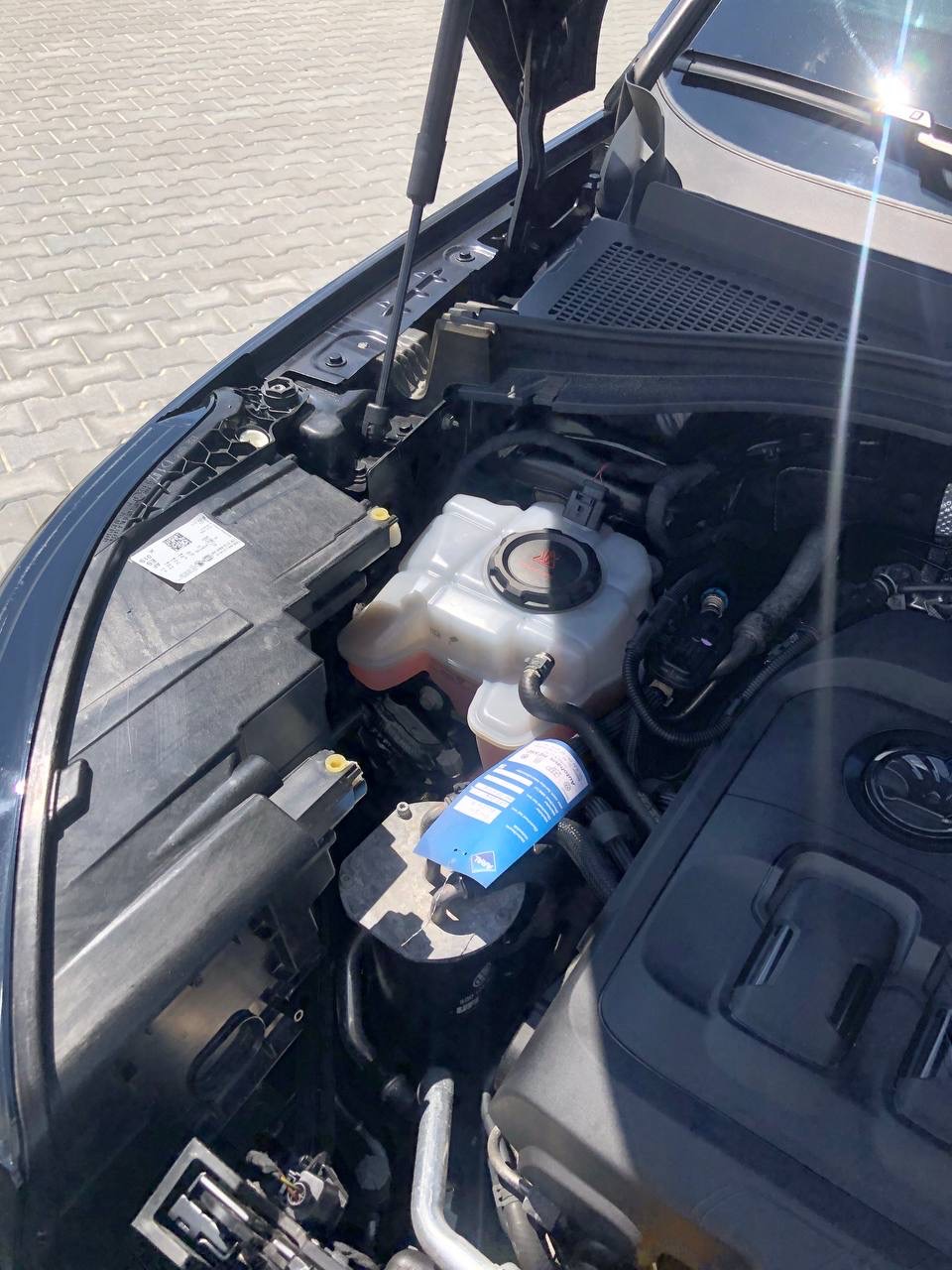 Skoda Kodiaq RS - фото 21