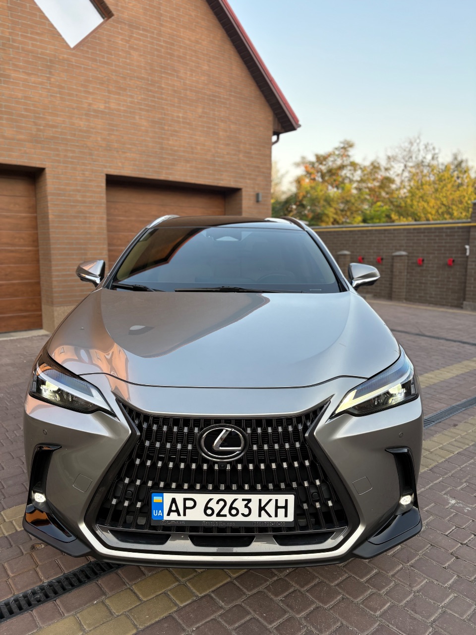 Lexus NX - фото 7