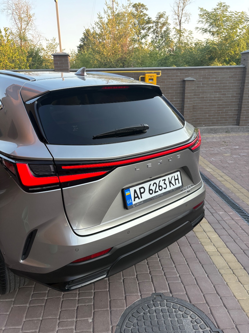 Lexus NX - фото 16