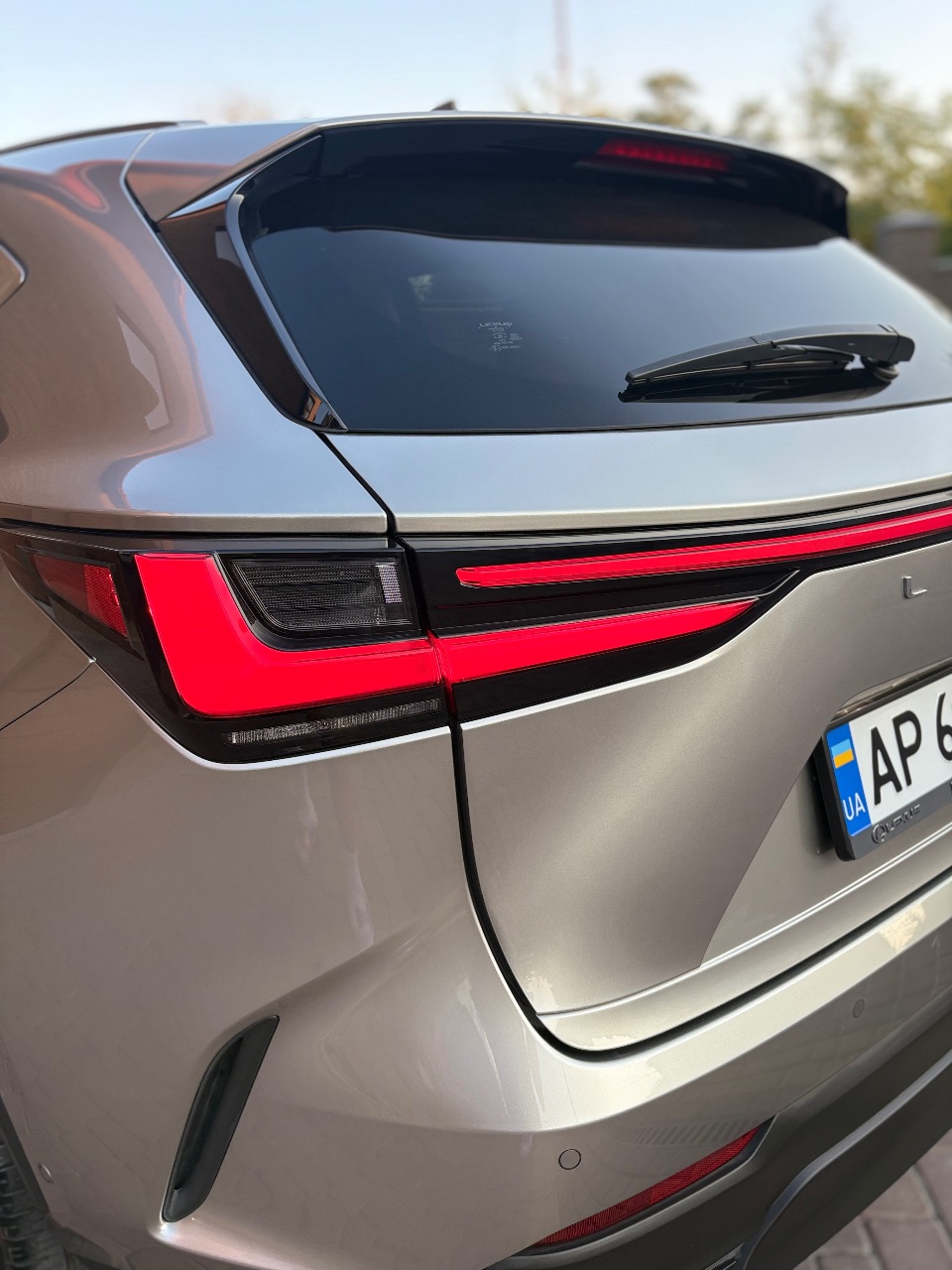 Lexus NX - фото 10