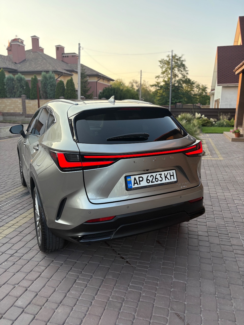 Lexus NX - фото 13