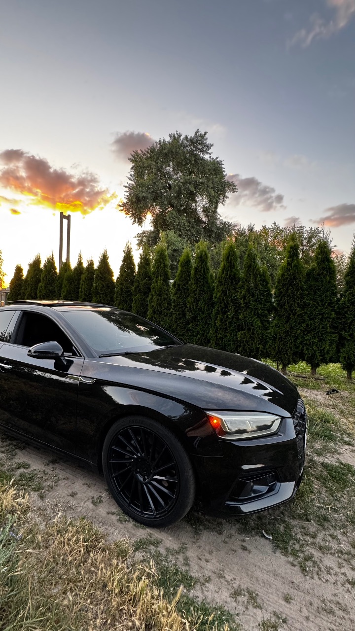 Audi A5 - фото 4