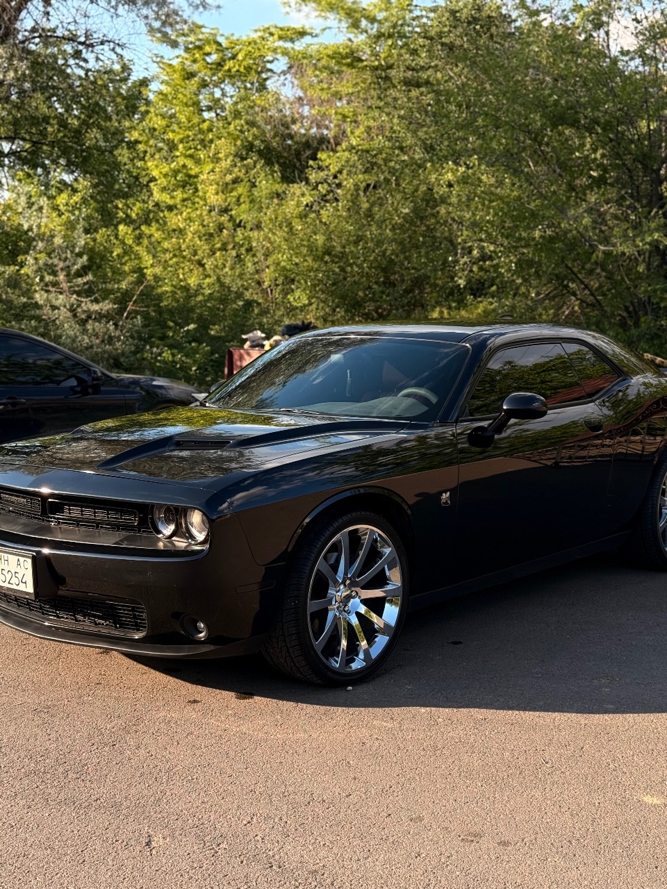 Dodge Challenger - фото 48