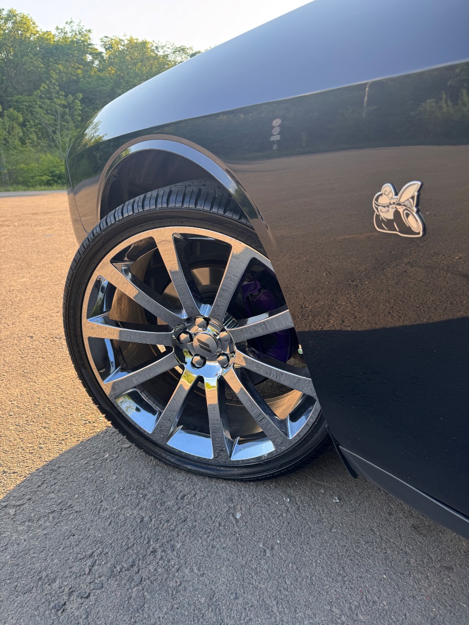 Dodge Challenger - фото 25