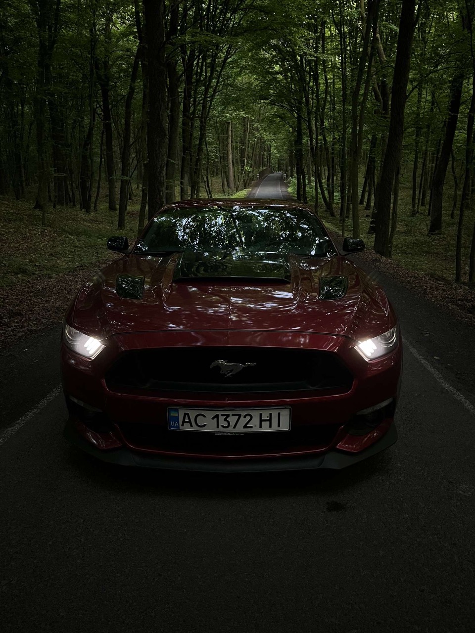 Ford Mustang - фото 4
